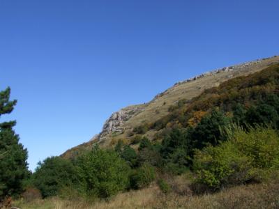 Прикрепленное изображение: DSCF5841.jpg